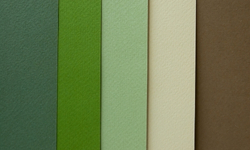 color-palette-generator